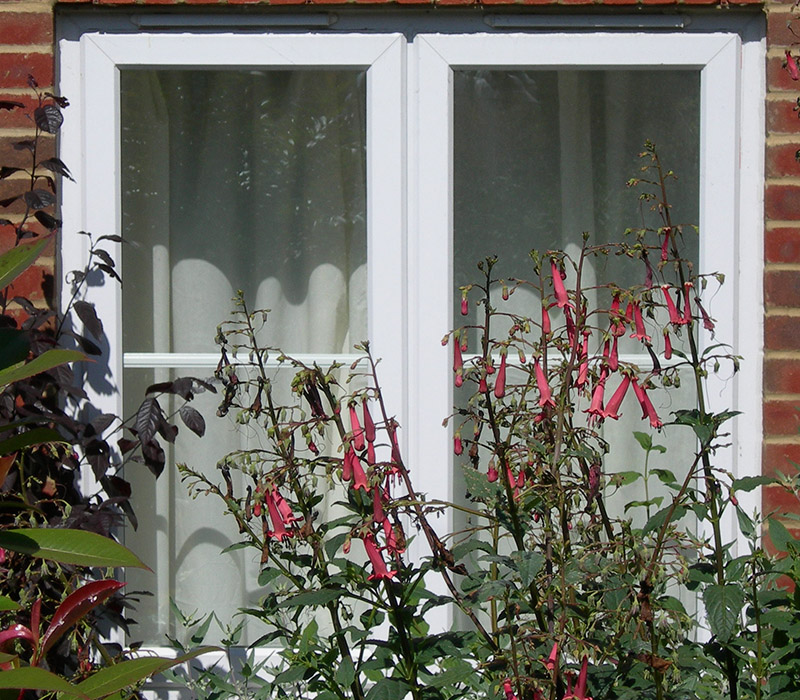 French Casement Windows